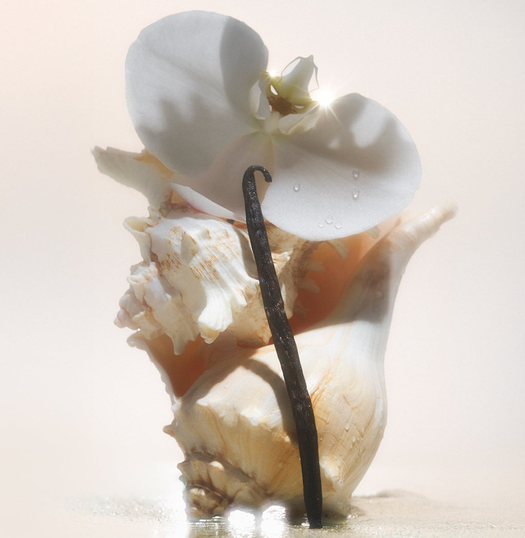 Salt Water Vanilla - Body Wash